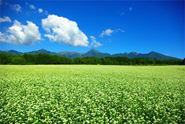 癒しのある風景「諏訪 八ヶ岳の四季」