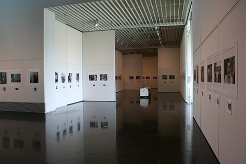 作品展示