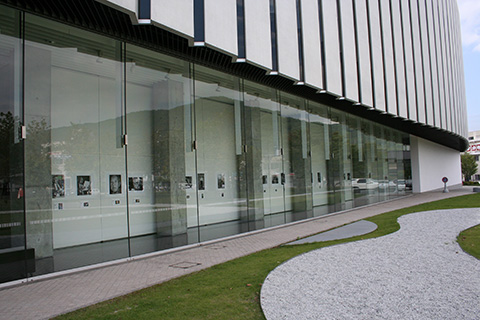 作品展示