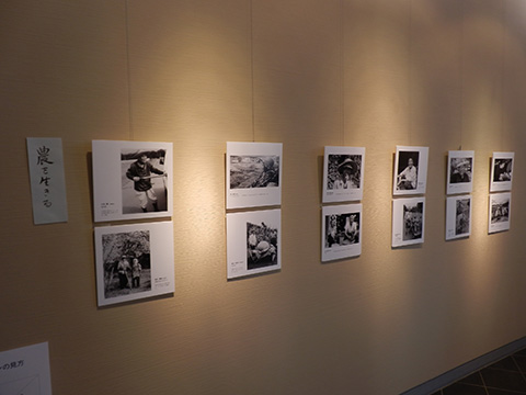茅野市美術館写真展『寿齢讃歌』in 美浜