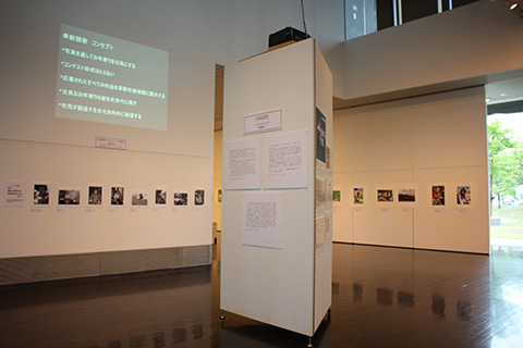 作品展示