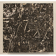 出展作品